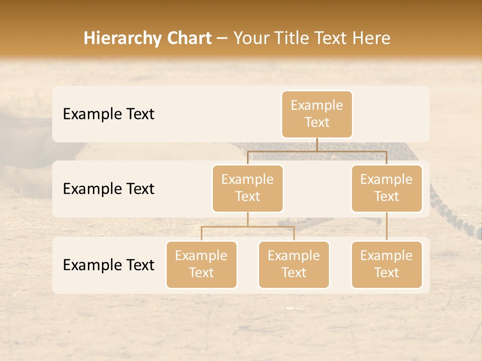 A Cheetah Chasing A Wildebeest In The Desert PowerPoint Template