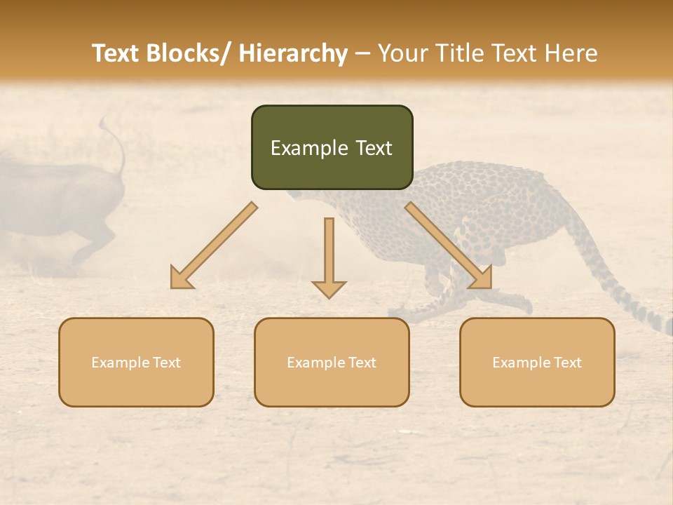A Cheetah Chasing A Wildebeest In The Desert PowerPoint Template