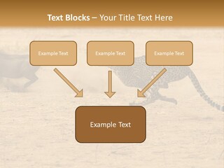 A Cheetah Chasing A Wildebeest In The Desert PowerPoint Template