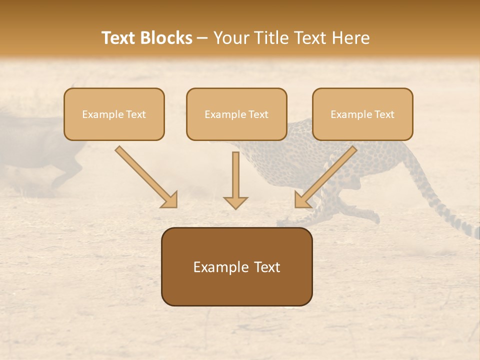A Cheetah Chasing A Wildebeest In The Desert PowerPoint Template