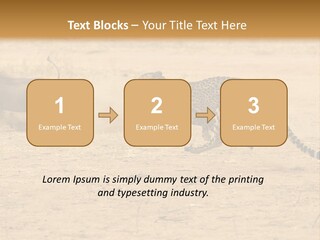 A Cheetah Chasing A Wildebeest In The Desert PowerPoint Template
