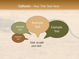 A Cheetah Chasing A Wildebeest In The Desert PowerPoint Template