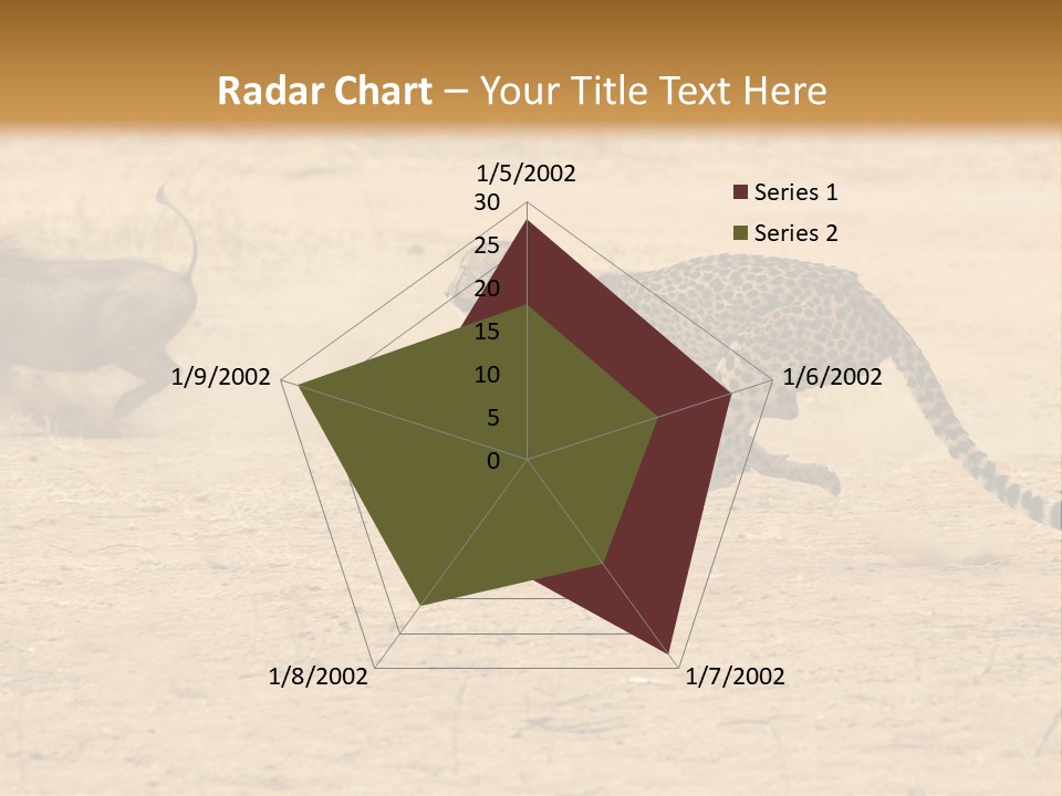 A Cheetah Chasing A Wildebeest In The Desert PowerPoint Template