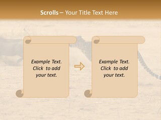 A Cheetah Chasing A Wildebeest In The Desert PowerPoint Template