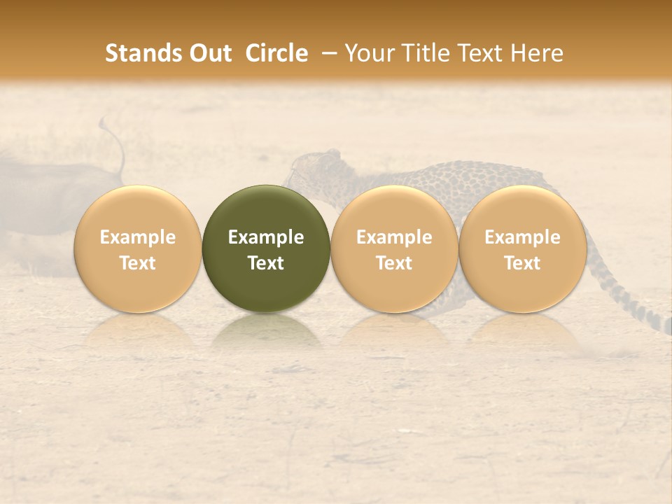 A Cheetah Chasing A Wildebeest In The Desert PowerPoint Template