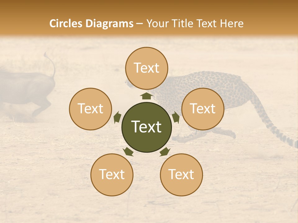 A Cheetah Chasing A Wildebeest In The Desert PowerPoint Template