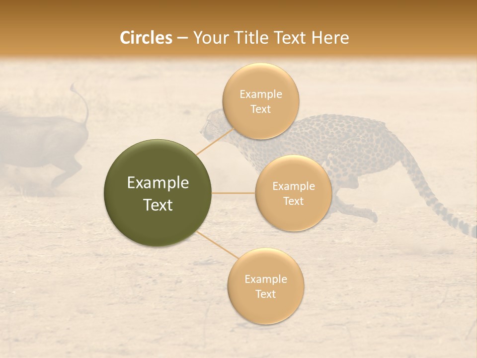A Cheetah Chasing A Wildebeest In The Desert PowerPoint Template
