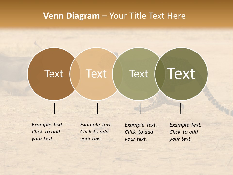 A Cheetah Chasing A Wildebeest In The Desert PowerPoint Template