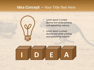 A Cheetah Chasing A Wildebeest In The Desert PowerPoint Template