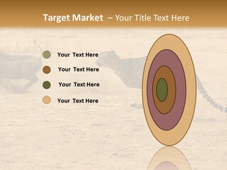 A Cheetah Chasing A Wildebeest In The Desert PowerPoint Template