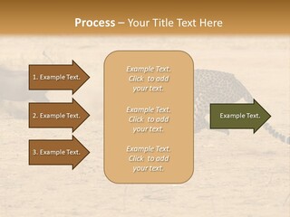 A Cheetah Chasing A Wildebeest In The Desert PowerPoint Template