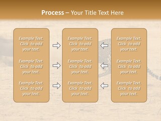 A Cheetah Chasing A Wildebeest In The Desert PowerPoint Template