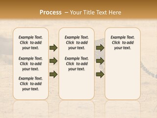 A Cheetah Chasing A Wildebeest In The Desert PowerPoint Template