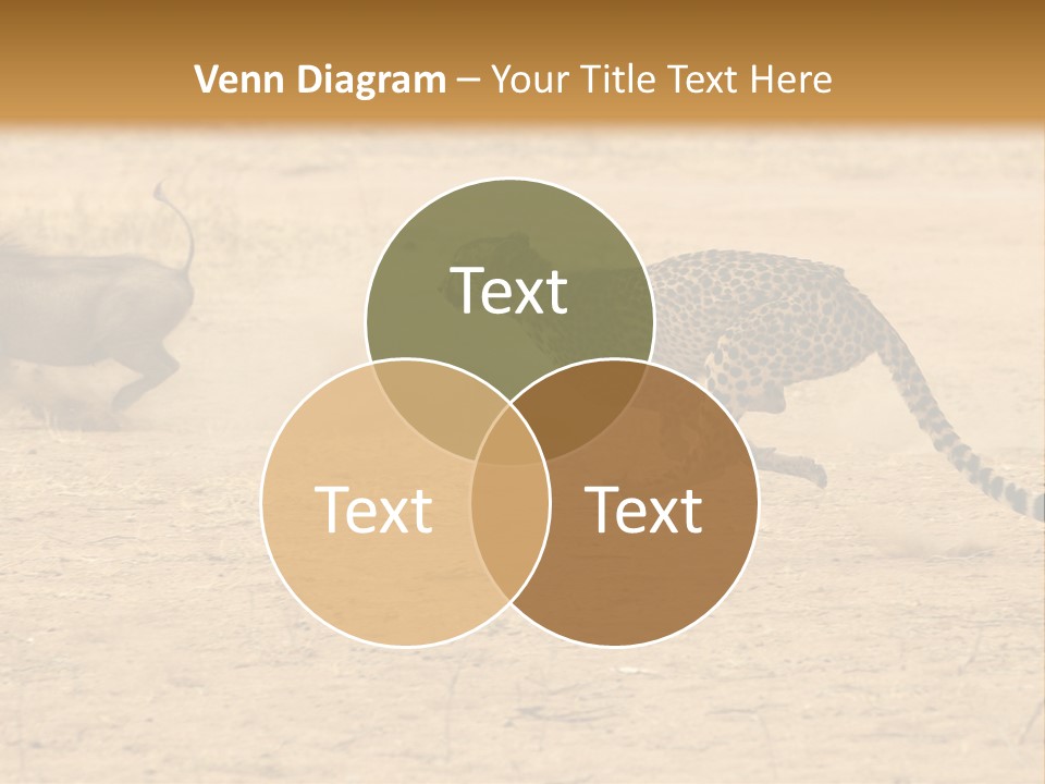 A Cheetah Chasing A Wildebeest In The Desert PowerPoint Template