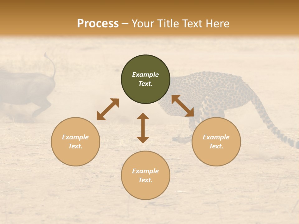 A Cheetah Chasing A Wildebeest In The Desert PowerPoint Template