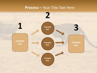 A Cheetah Chasing A Wildebeest In The Desert PowerPoint Template