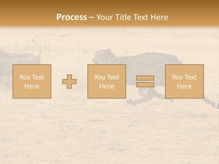 A Cheetah Chasing A Wildebeest In The Desert PowerPoint Template