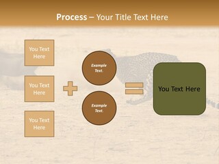 A Cheetah Chasing A Wildebeest In The Desert PowerPoint Template