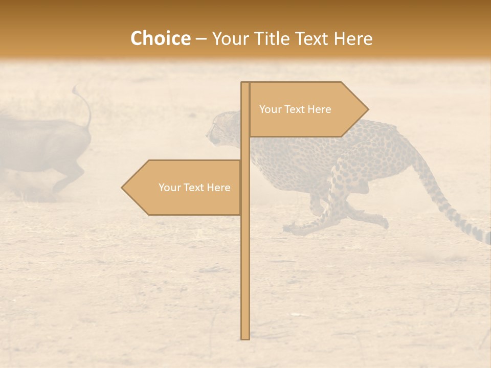 A Cheetah Chasing A Wildebeest In The Desert PowerPoint Template