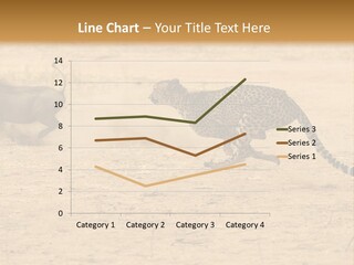 A Cheetah Chasing A Wildebeest In The Desert PowerPoint Template