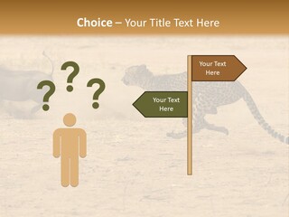 A Cheetah Chasing A Wildebeest In The Desert PowerPoint Template