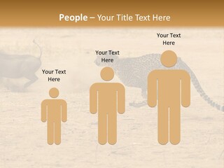 A Cheetah Chasing A Wildebeest In The Desert PowerPoint Template