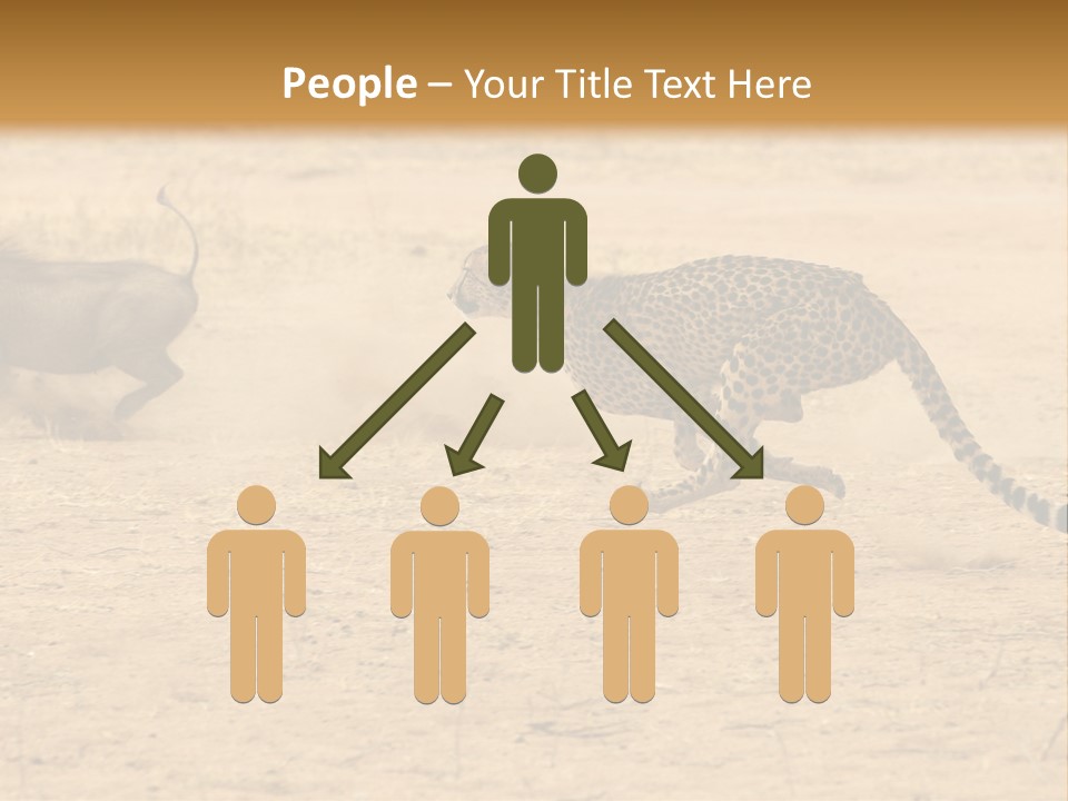 A Cheetah Chasing A Wildebeest In The Desert PowerPoint Template
