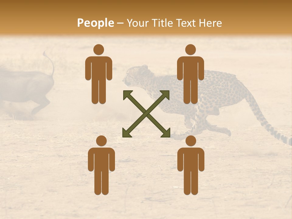 A Cheetah Chasing A Wildebeest In The Desert PowerPoint Template