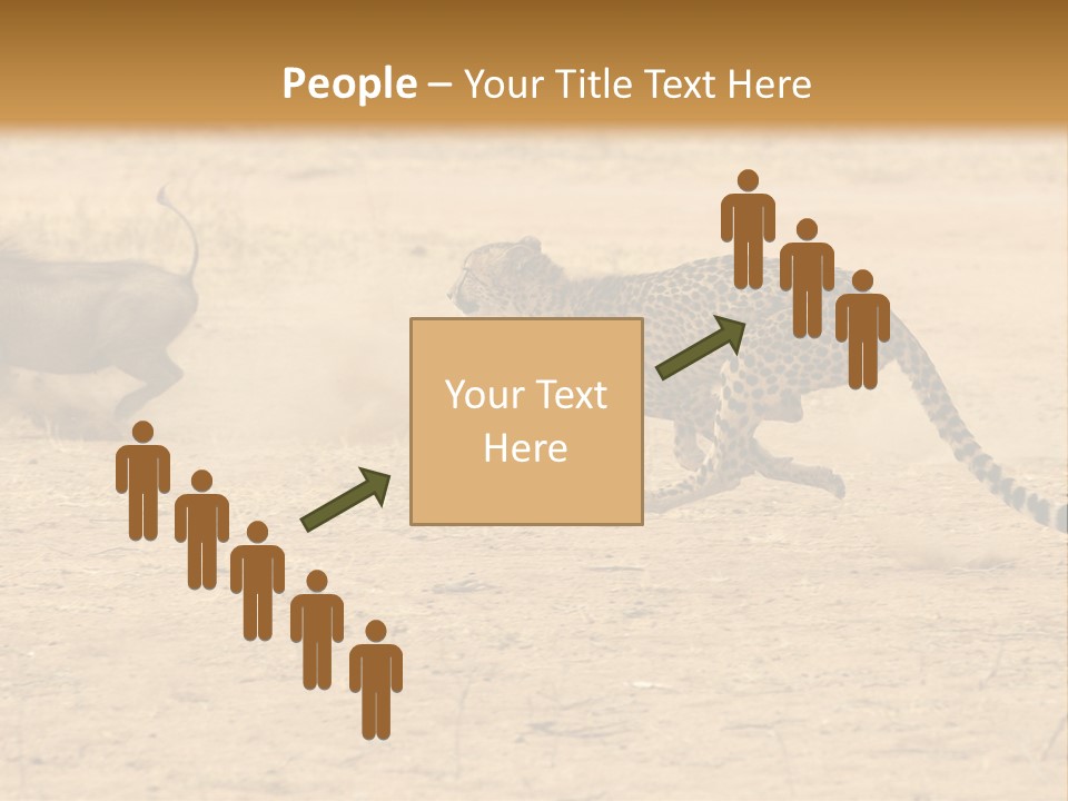 A Cheetah Chasing A Wildebeest In The Desert PowerPoint Template