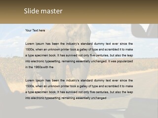 A Large Elephant Walking Across A Street Next To A Car PowerPoint Template