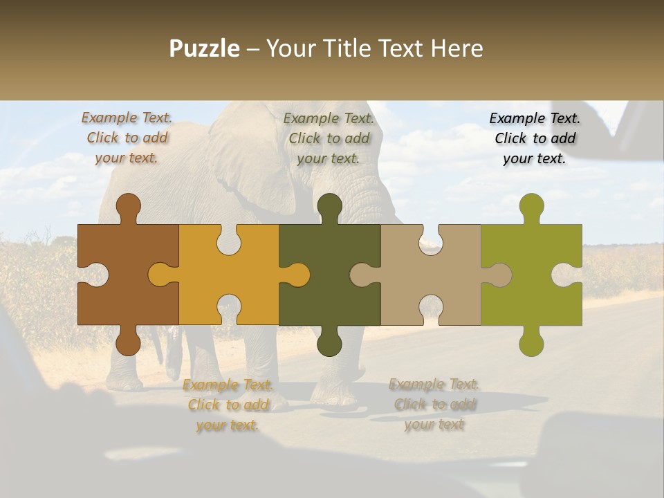 A Large Elephant Walking Across A Street Next To A Car PowerPoint Template
