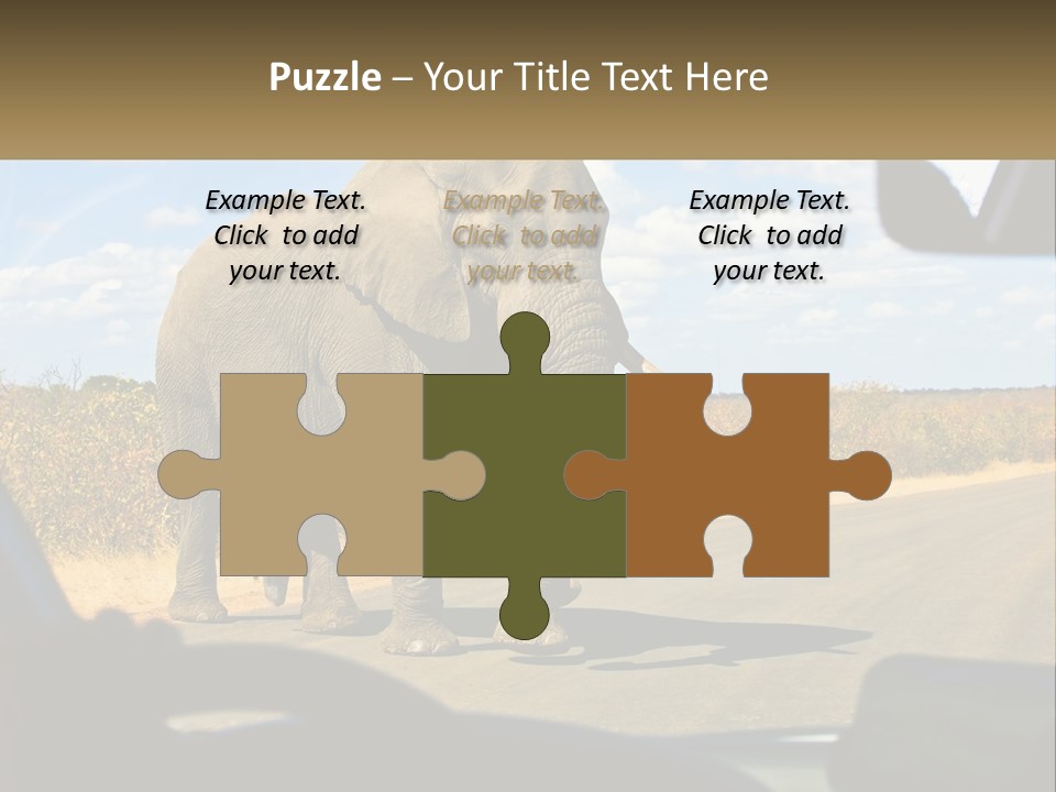 A Large Elephant Walking Across A Street Next To A Car PowerPoint Template