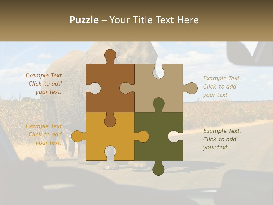 A Large Elephant Walking Across A Street Next To A Car PowerPoint Template