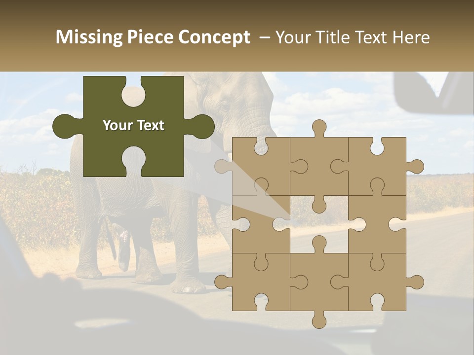 A Large Elephant Walking Across A Street Next To A Car PowerPoint Template