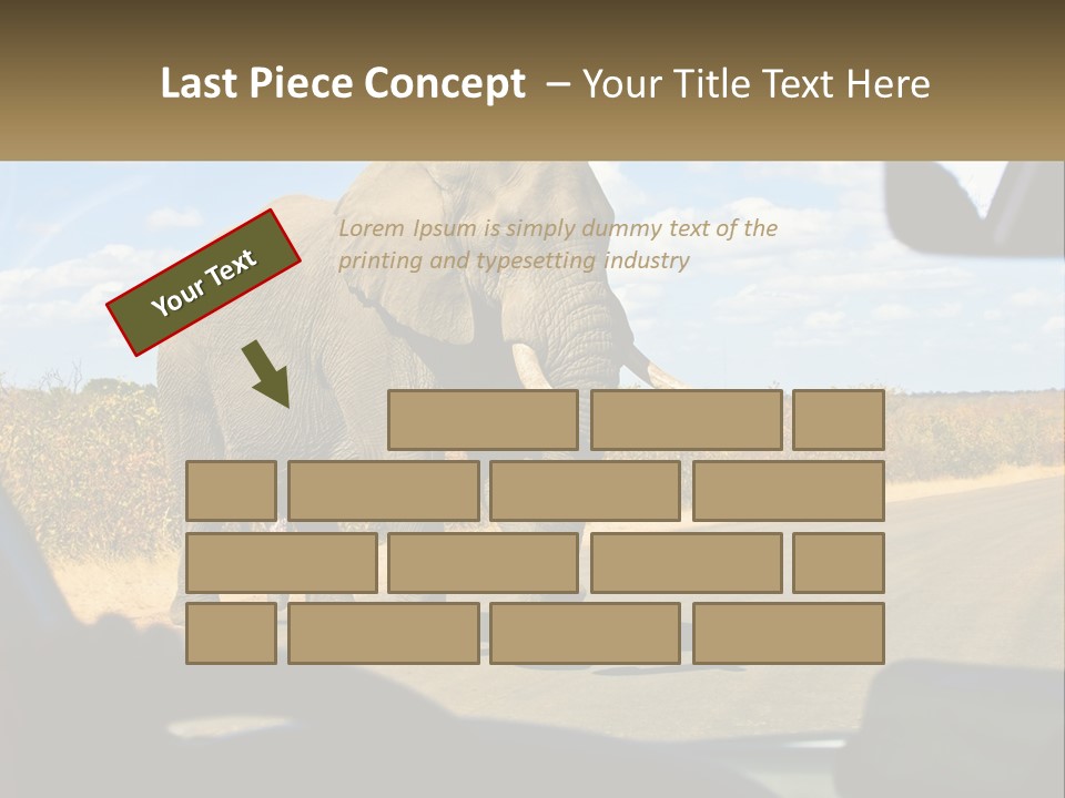 A Large Elephant Walking Across A Street Next To A Car PowerPoint Template