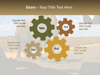 A Large Elephant Walking Across A Street Next To A Car PowerPoint Template