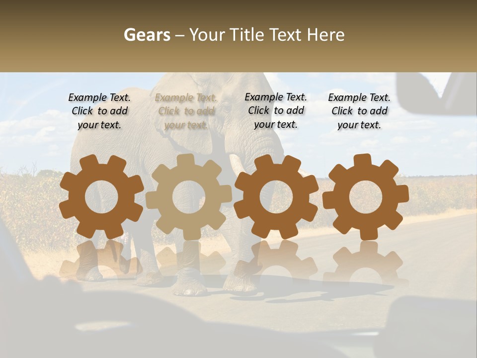 A Large Elephant Walking Across A Street Next To A Car PowerPoint Template