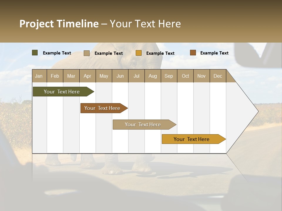 A Large Elephant Walking Across A Street Next To A Car PowerPoint Template