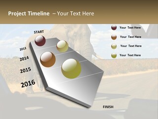 A Large Elephant Walking Across A Street Next To A Car PowerPoint Template