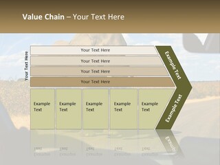A Large Elephant Walking Across A Street Next To A Car PowerPoint Template