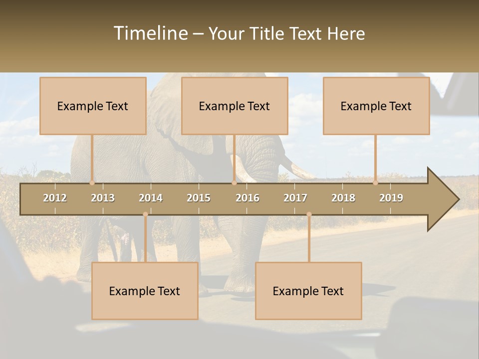 A Large Elephant Walking Across A Street Next To A Car PowerPoint Template