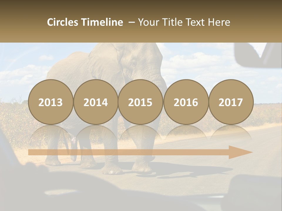 A Large Elephant Walking Across A Street Next To A Car PowerPoint Template