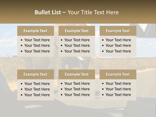A Large Elephant Walking Across A Street Next To A Car PowerPoint Template