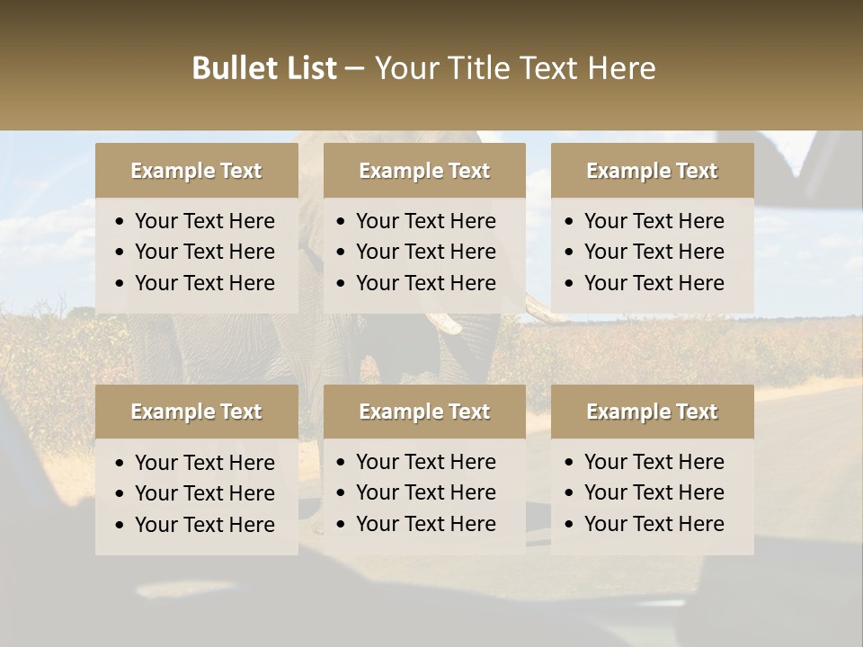 A Large Elephant Walking Across A Street Next To A Car PowerPoint Template