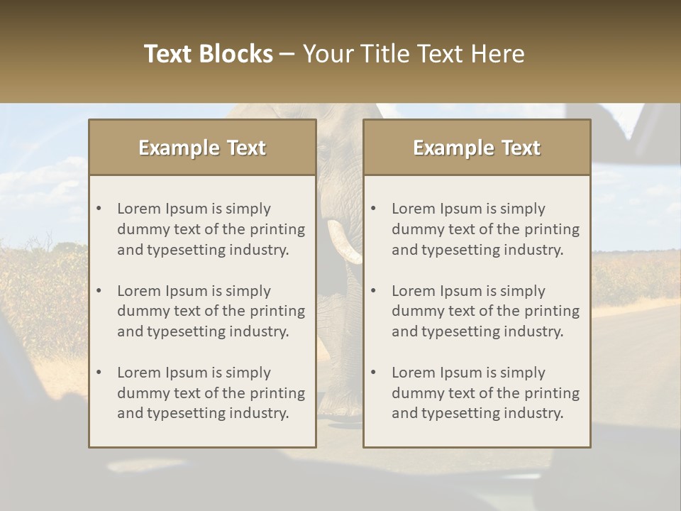 A Large Elephant Walking Across A Street Next To A Car PowerPoint Template