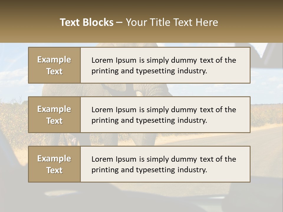A Large Elephant Walking Across A Street Next To A Car PowerPoint Template