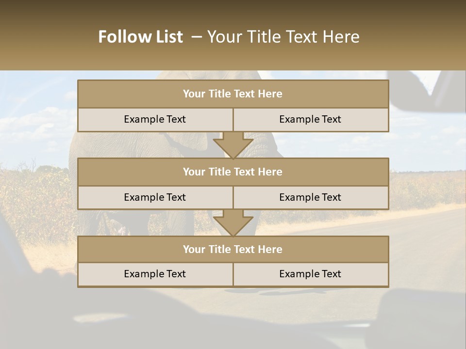 A Large Elephant Walking Across A Street Next To A Car PowerPoint Template