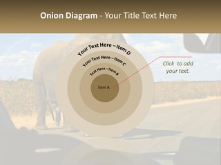 A Large Elephant Walking Across A Street Next To A Car PowerPoint Template
