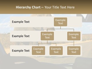 A Large Elephant Walking Across A Street Next To A Car PowerPoint Template