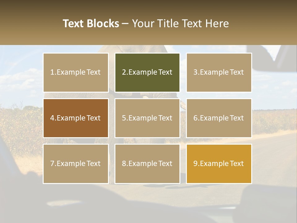 A Large Elephant Walking Across A Street Next To A Car PowerPoint Template